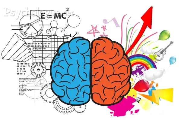Hemispheres cerveau