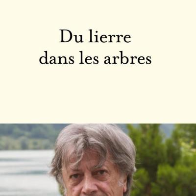 Herve vilard du lierre dans les arbres