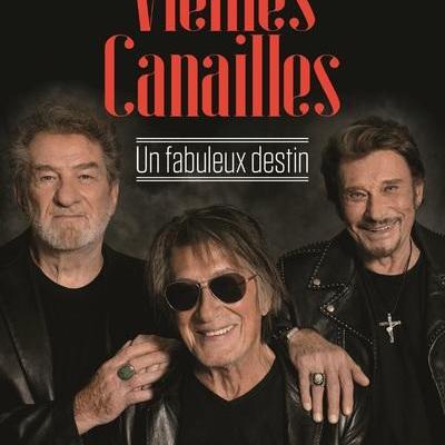 Les vieilles canailles livre