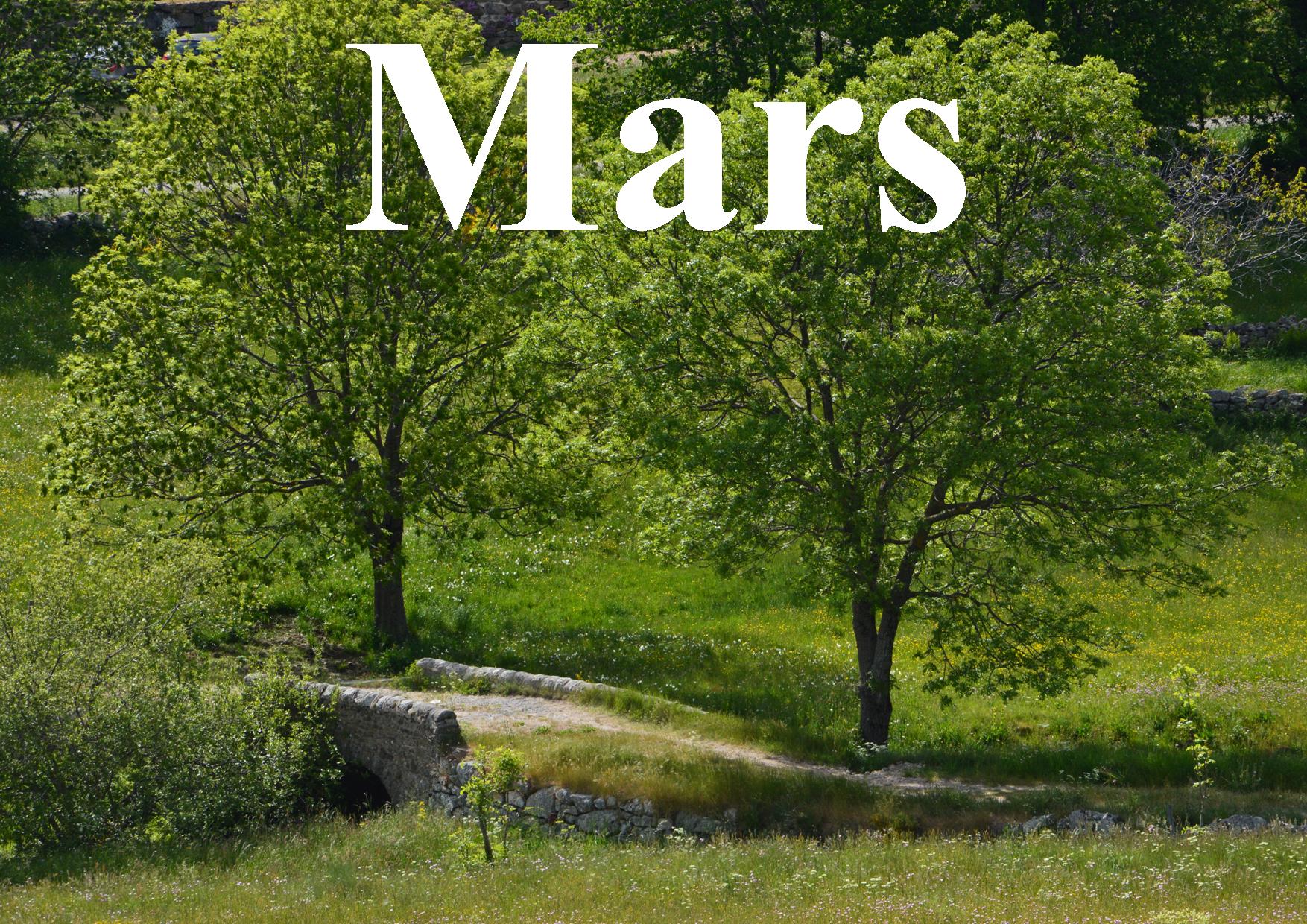Mars site