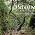 Païolive, le bois des fées par Helmut Krackenberger