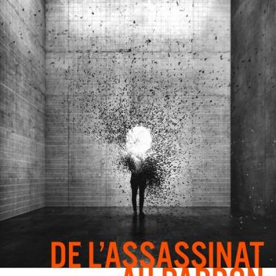 Sarah stibling de l assasinat au pardon